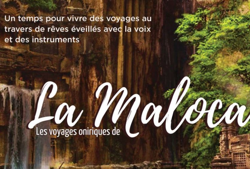 Les voyages oniriques de la Maloca